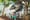 A person sits at a table underneath a statue of a dinosaur named Stan with a Google logo hanging from his teeth outside a glass building at Google HQ